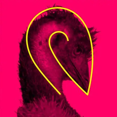WAS Insurance Logo