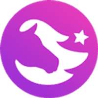 Star Stable Online Logo
