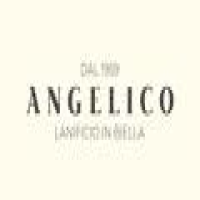 Angelico 2024 Logo
