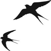 Peachaus Lounge Logo