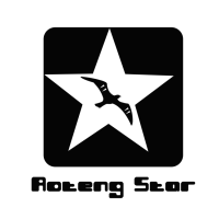 Aoteng STAR Logo