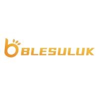 BlesULuk Logo
