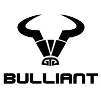 Bulliant Logo