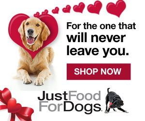Just Food for Dogs banner saying For the one that will never leave you