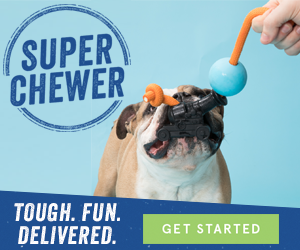 super chewer deals