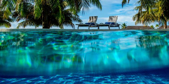 a pool with chairs and palm trees