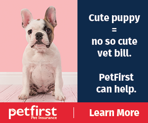petsmart puppy plan cost