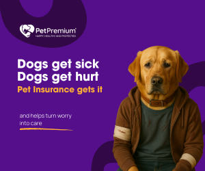 Simbadol Buprenorphine (Simbadol) for Dogs - Medication Guide | Furry Critter ...
