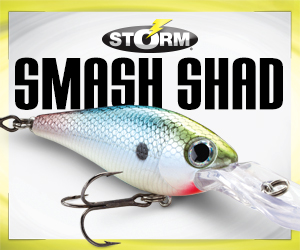 smash shad