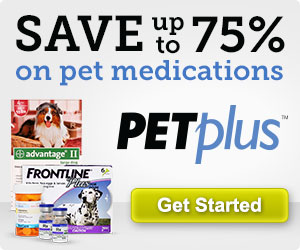 How to Save Money on Pet Medications for Big Dogs [2021] The fact is, at some point in your pet’s life, he or she will need medication.  From preventatives like flea, tick and heartworm medications, to antibiotics and pain medications, the list of possible pet medications your dog will need is endless.