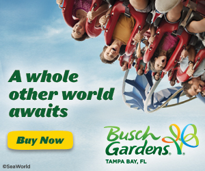 Visit Busch Gardens Tampa Bay Book Your Vacation Now