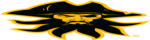 Black Beard Fire