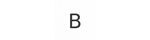 Bizcap USA