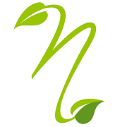 Best Nearly Natural Cashback, Deals & Coupons