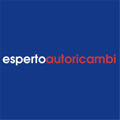 Espertoautoricambi IT logo