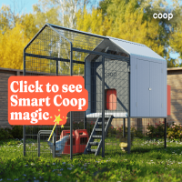 COOP logo