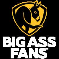 Big Ass Fans logo