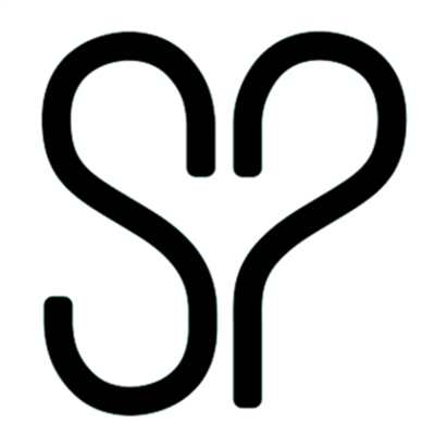 Salon Perfect logo